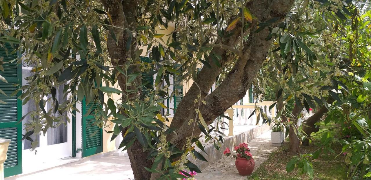 Aparthotel Kapetanios Luxury Agios Georgios  Esterno foto