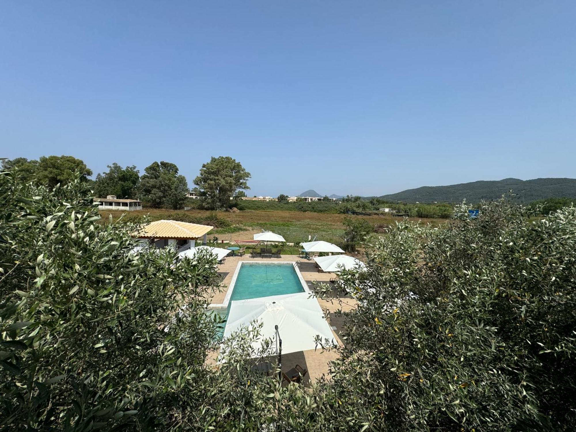Aparthotel Kapetanios Luxury Agios Georgios  Esterno foto